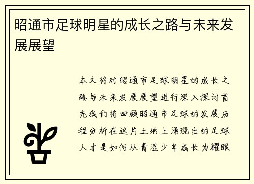 昭通市足球明星的成长之路与未来发展展望